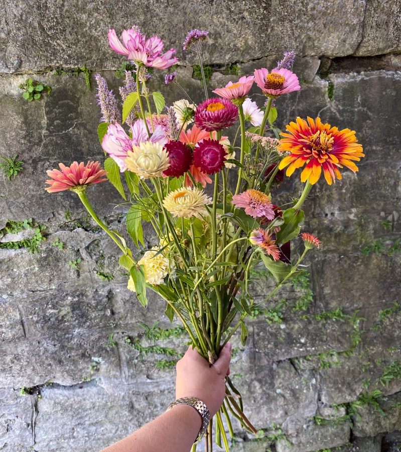 Blumengalerie-Shop-Abos-L- Schweizer Blumen.jpg4